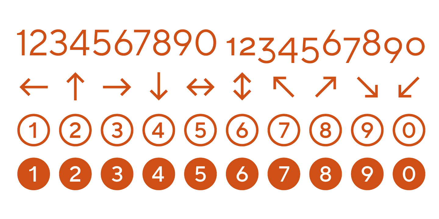 TT Norms&reg; Pro: a 7-year history of the font family