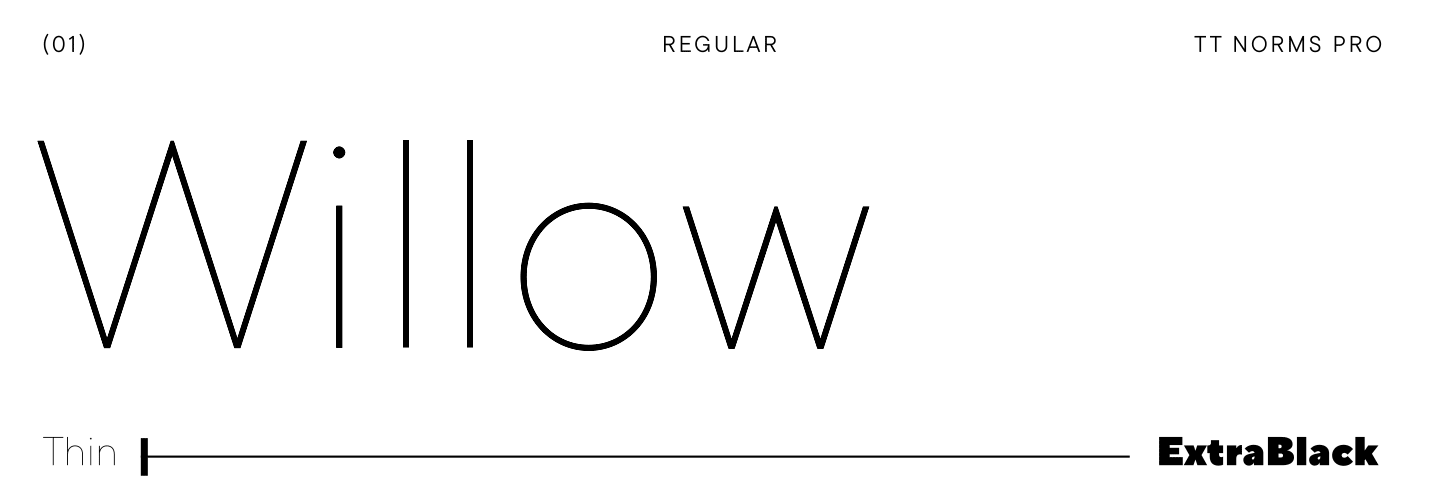 TT Norms&reg; Pro: a 7-year history of the font family
