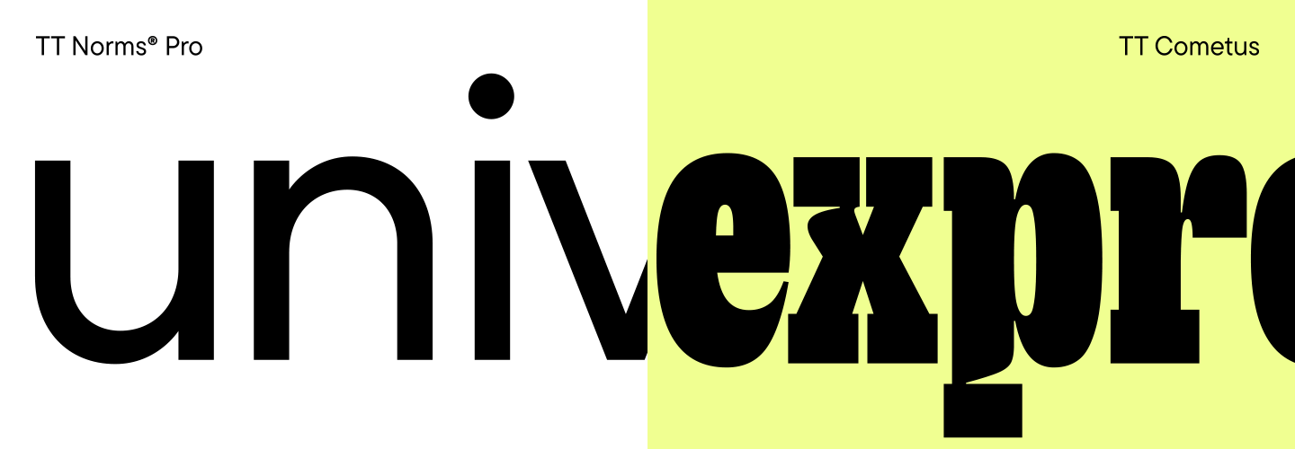 من النظرة الأولى: خطوط أنيقة للعناوين والزينة