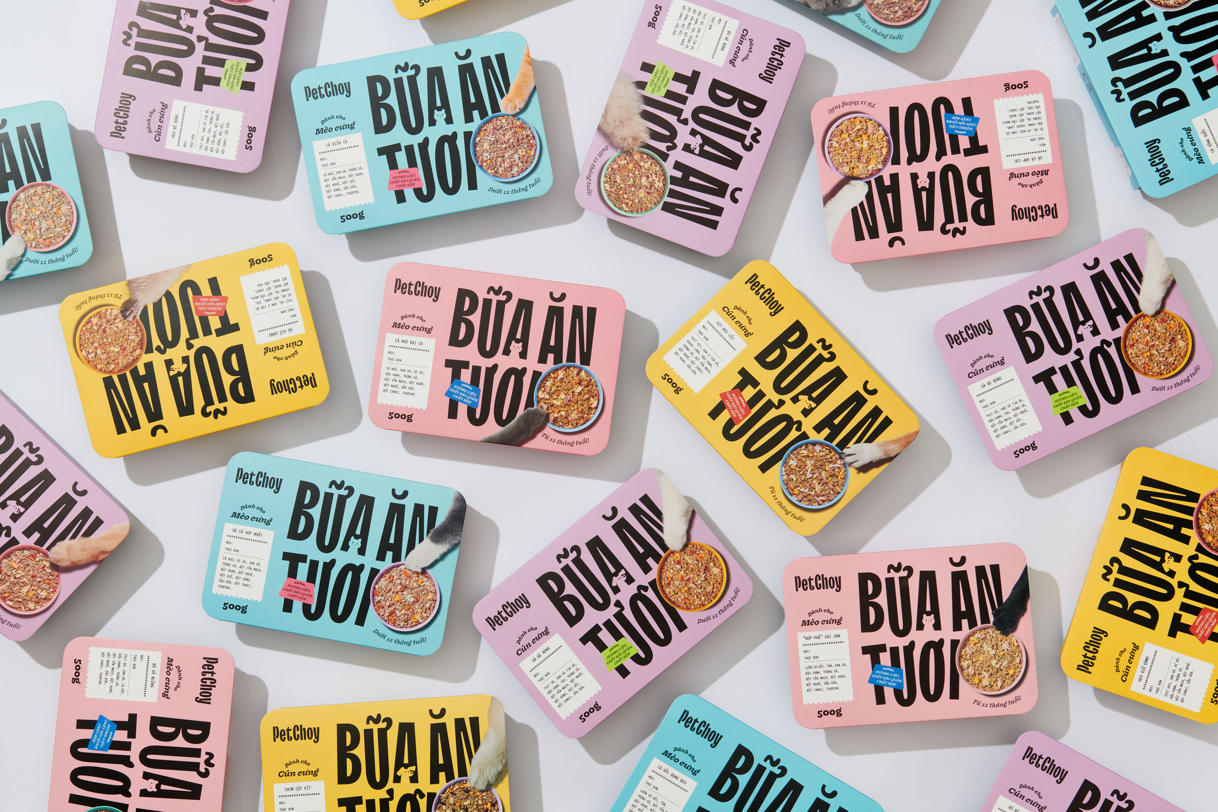 من النظرة الأولى: خطوط أنيقة للعناوين والزينة