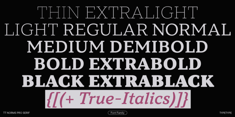 TT Norms® Pro Serif