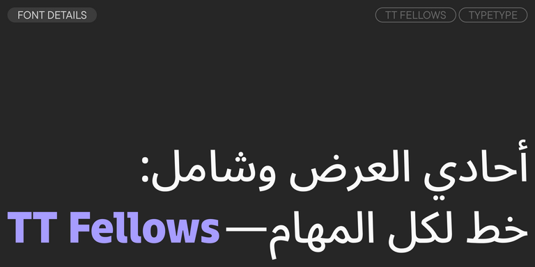TT Fellows