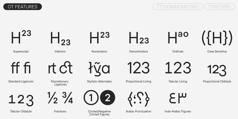 TT Commons™ Pro