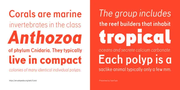 TT Corals
