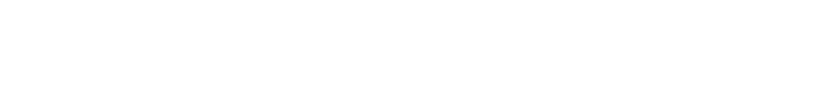 top_banner_basettnormspro