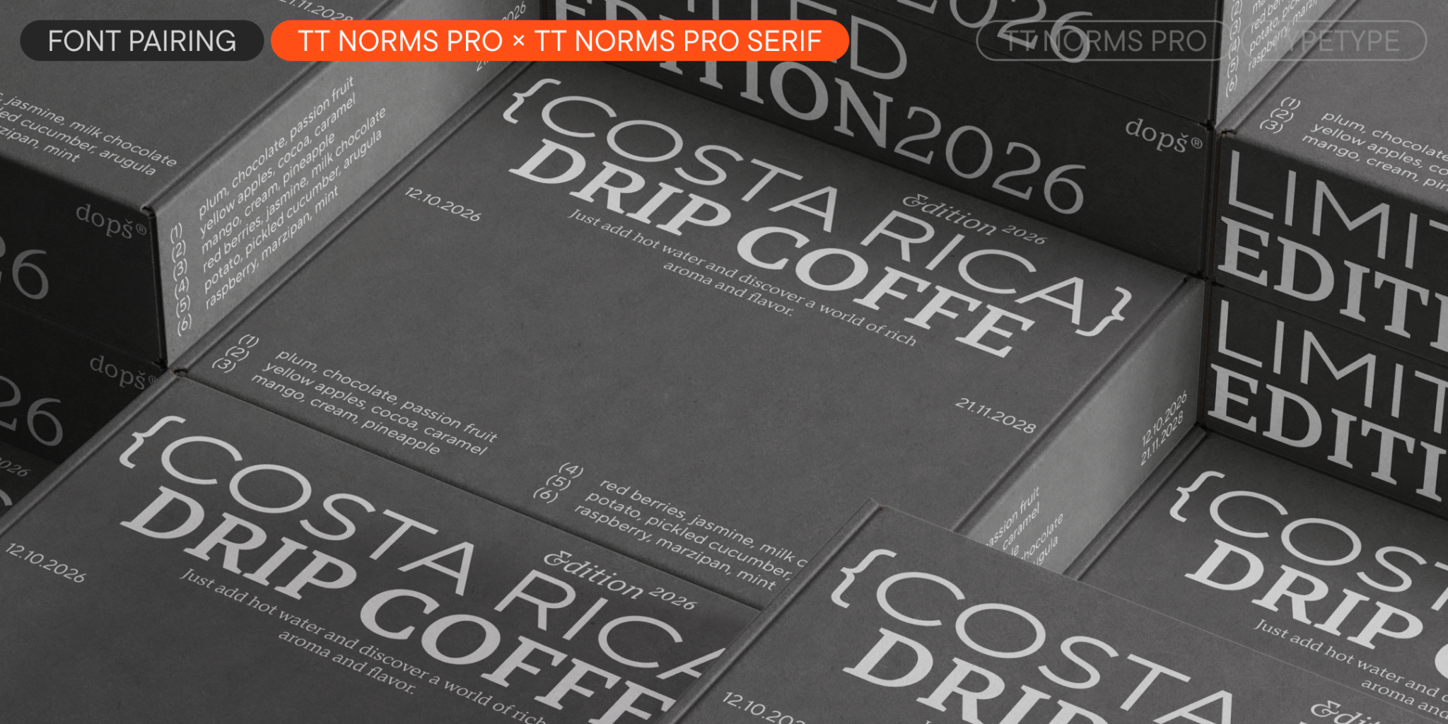 TT Norms® Pro Schriftart | TypeType®