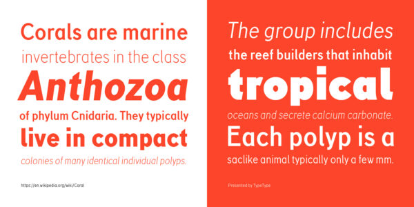 TT Corals