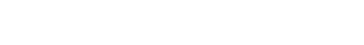 top_banner_basettnormspro