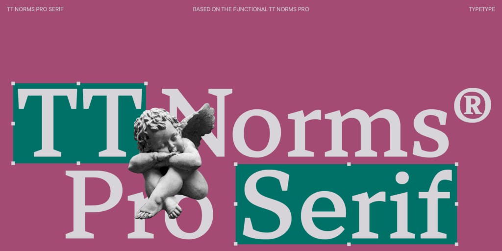 TT Norms® Pro Serif