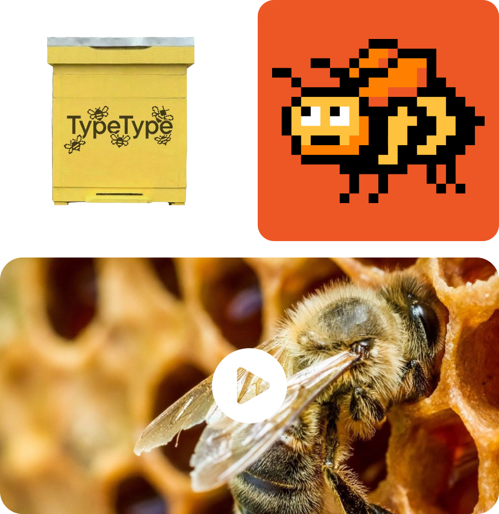 ¡Abejas en TypeType: míralo tú mismo!