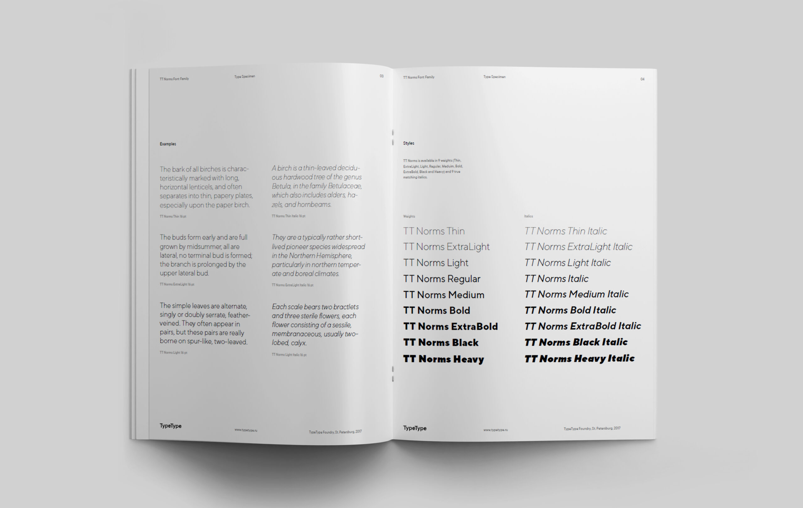 TT Norms&reg; Pro: a 7-year history of the font family