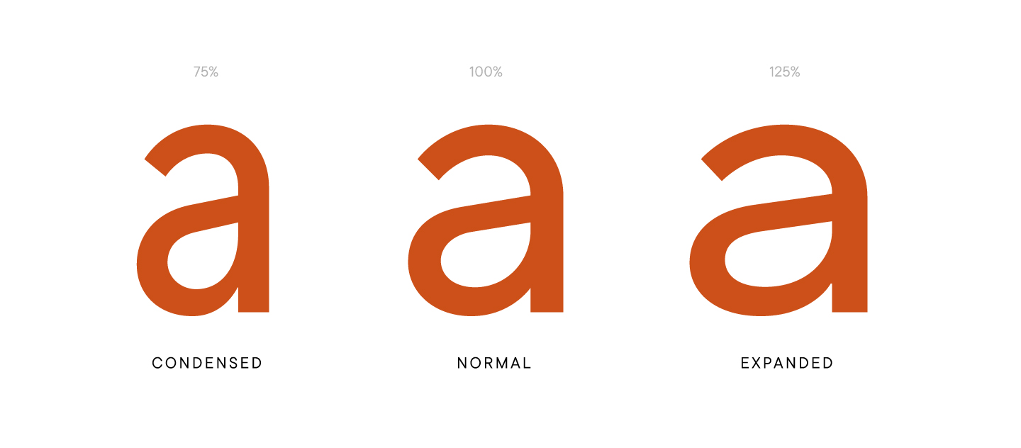 TT Norms&reg; Pro: a 7-year history of the font family