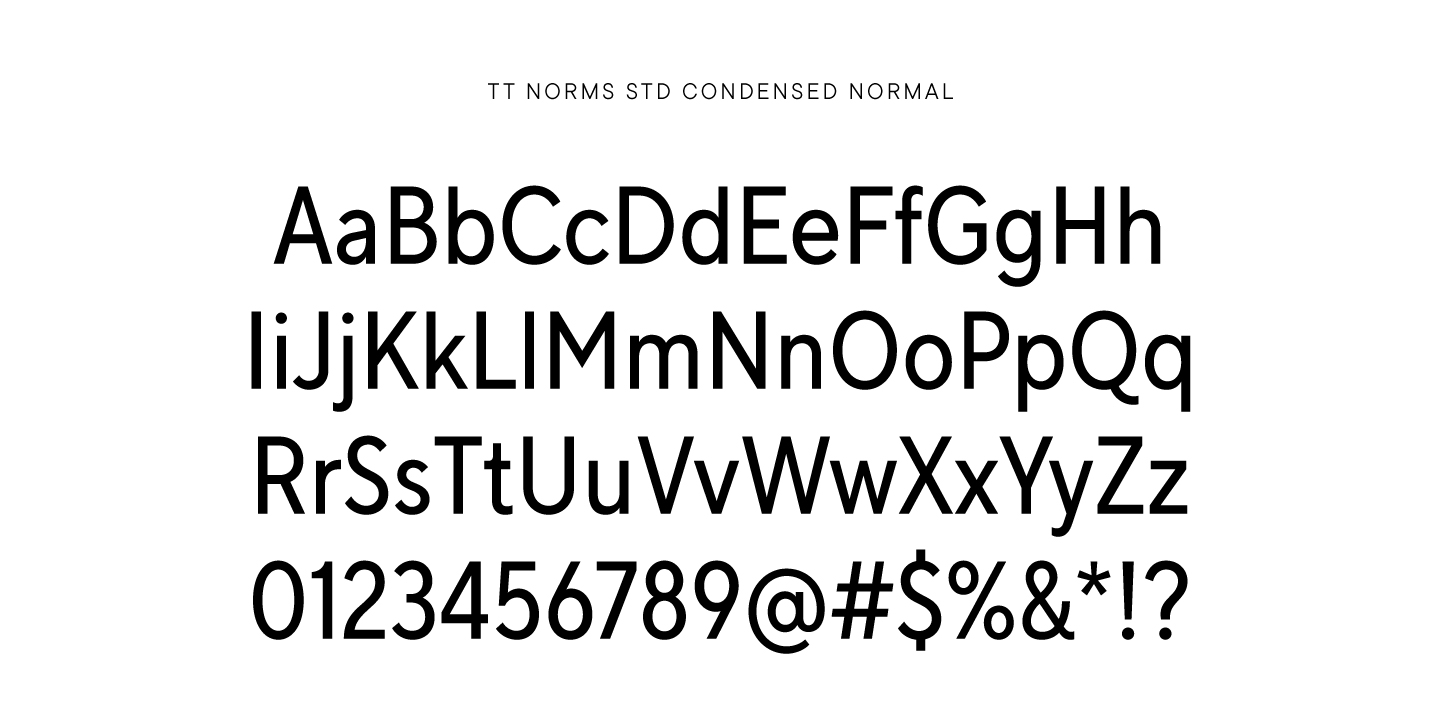 TT Norms&reg; Pro: a 7-year history of the font family