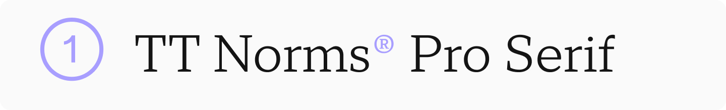 TT&nbsp;Norms&reg; Pro Serif