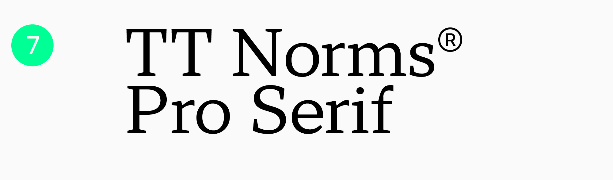 best font for easy reading TT&nbsp;Norms Pro Serif