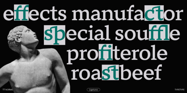 TT Norms® Pro Serif