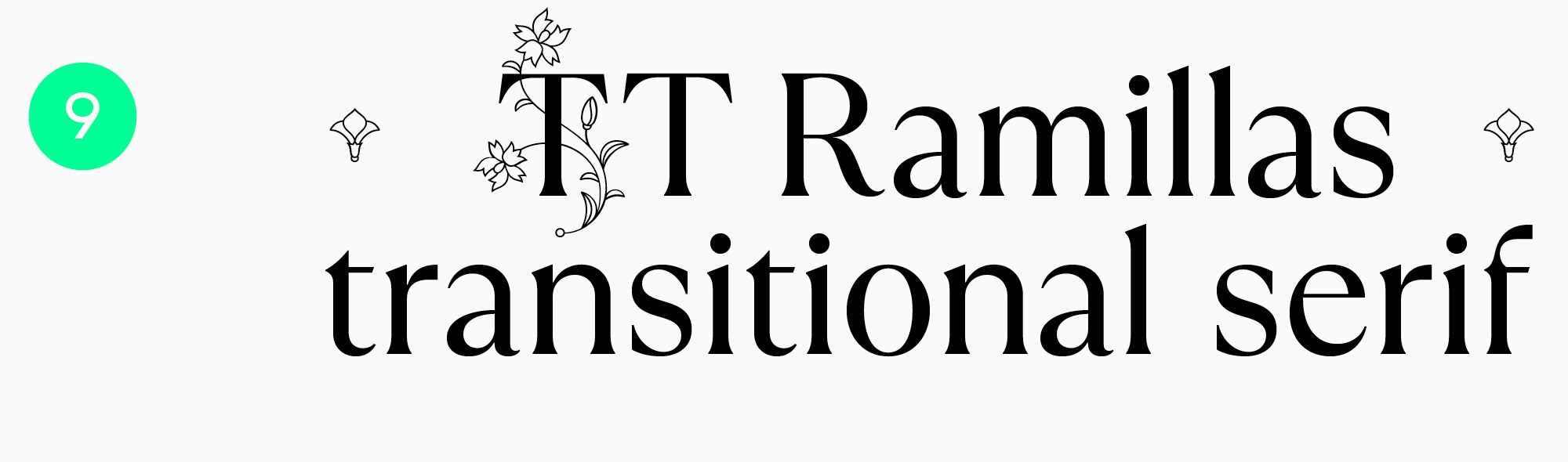 Text typefaces