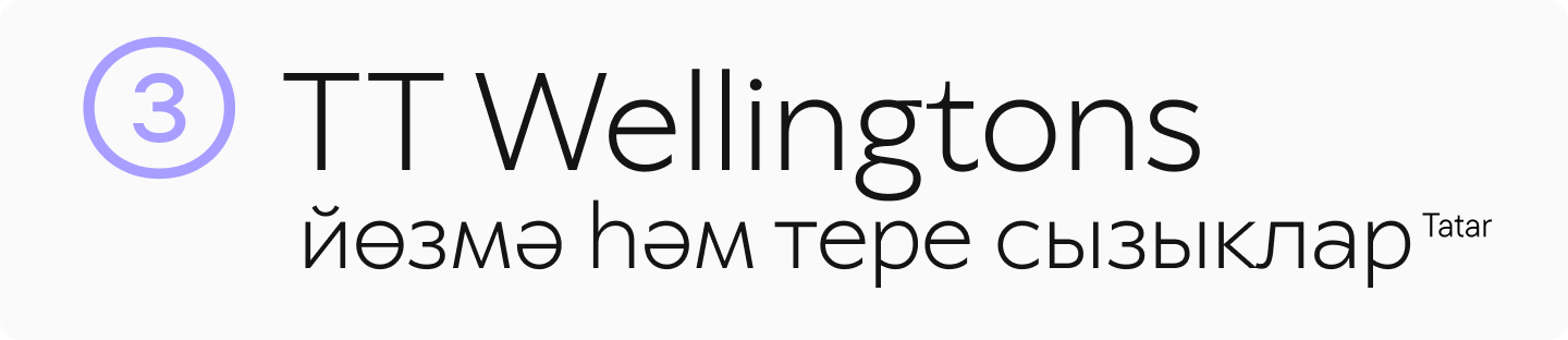 TT&nbsp;Wellingtons Cyrillic Sans Serif Font
