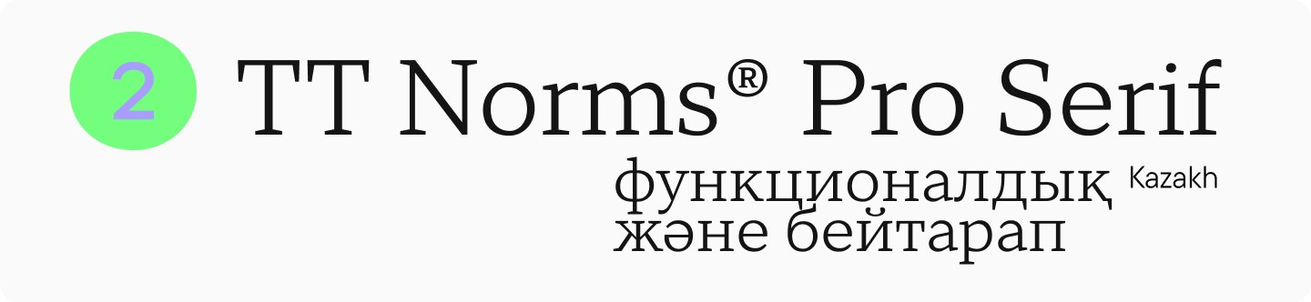 TT&nbsp;Norms&reg; Pro Serif Cyrillic Serif Font