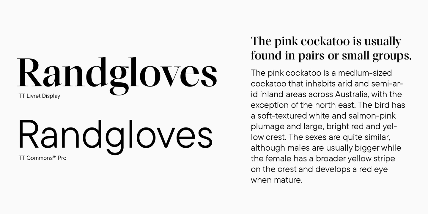 Combine fonts correctly