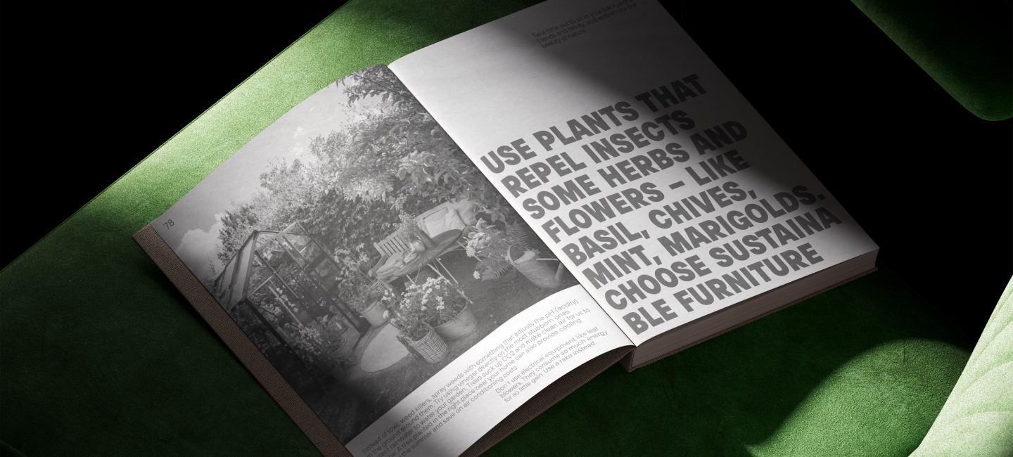 Bold Fonts: How to Use Them in Design