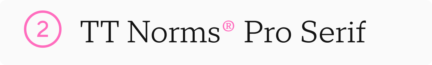 TT&nbsp;Norms&reg; Pro Serif