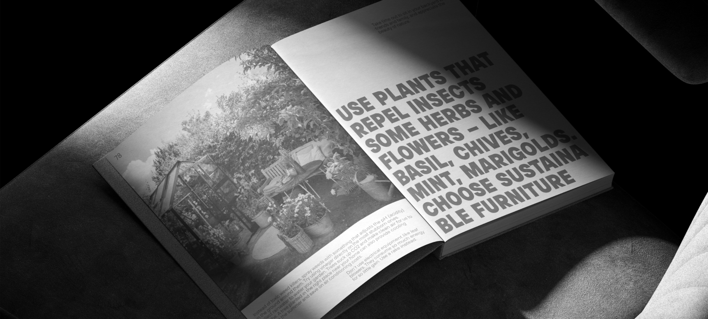 Typography in Web Design and Print Materials