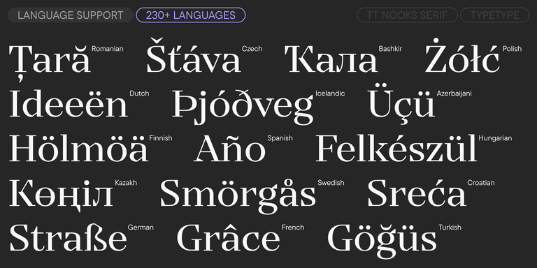 TT Nooks Serif