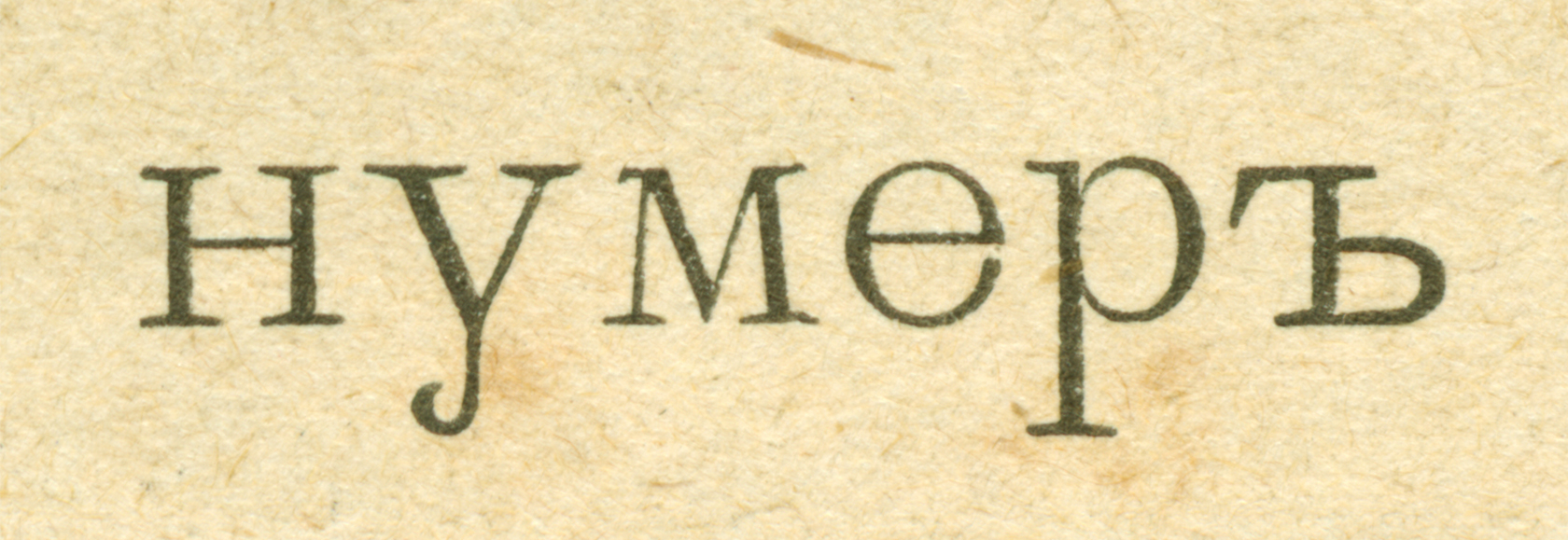 10. Zeichnung der Elzevir