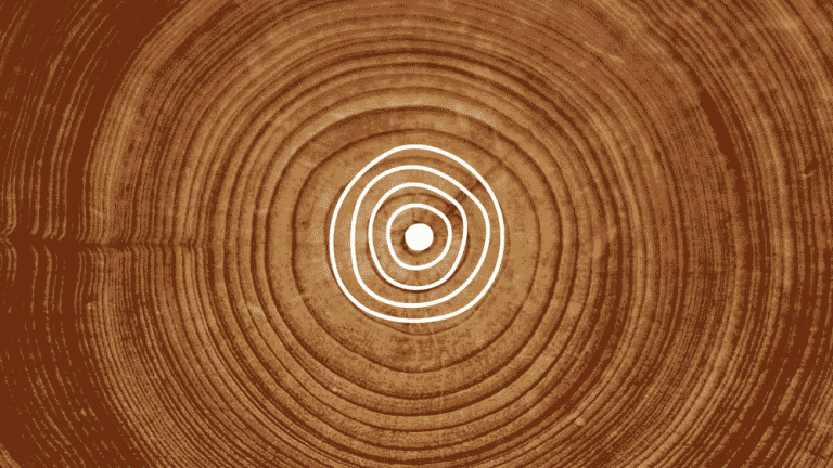 Decade of healthy ageing