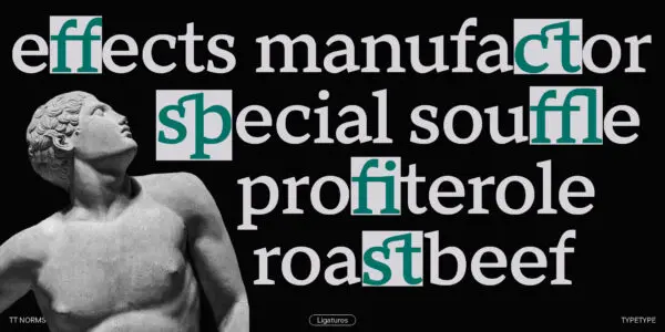 TT Norms® Pro Serif