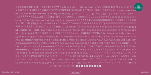 TT Norms® Pro Serif