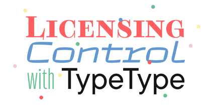 IP Protection as an Art: TypeType's Flexible Licensing Control Strategy