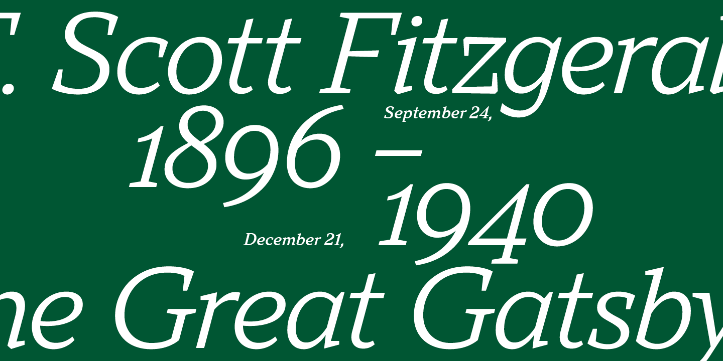 TT Norms&reg; Pro Sans Serif und TT Norms&reg; Pro Serif&nbsp;