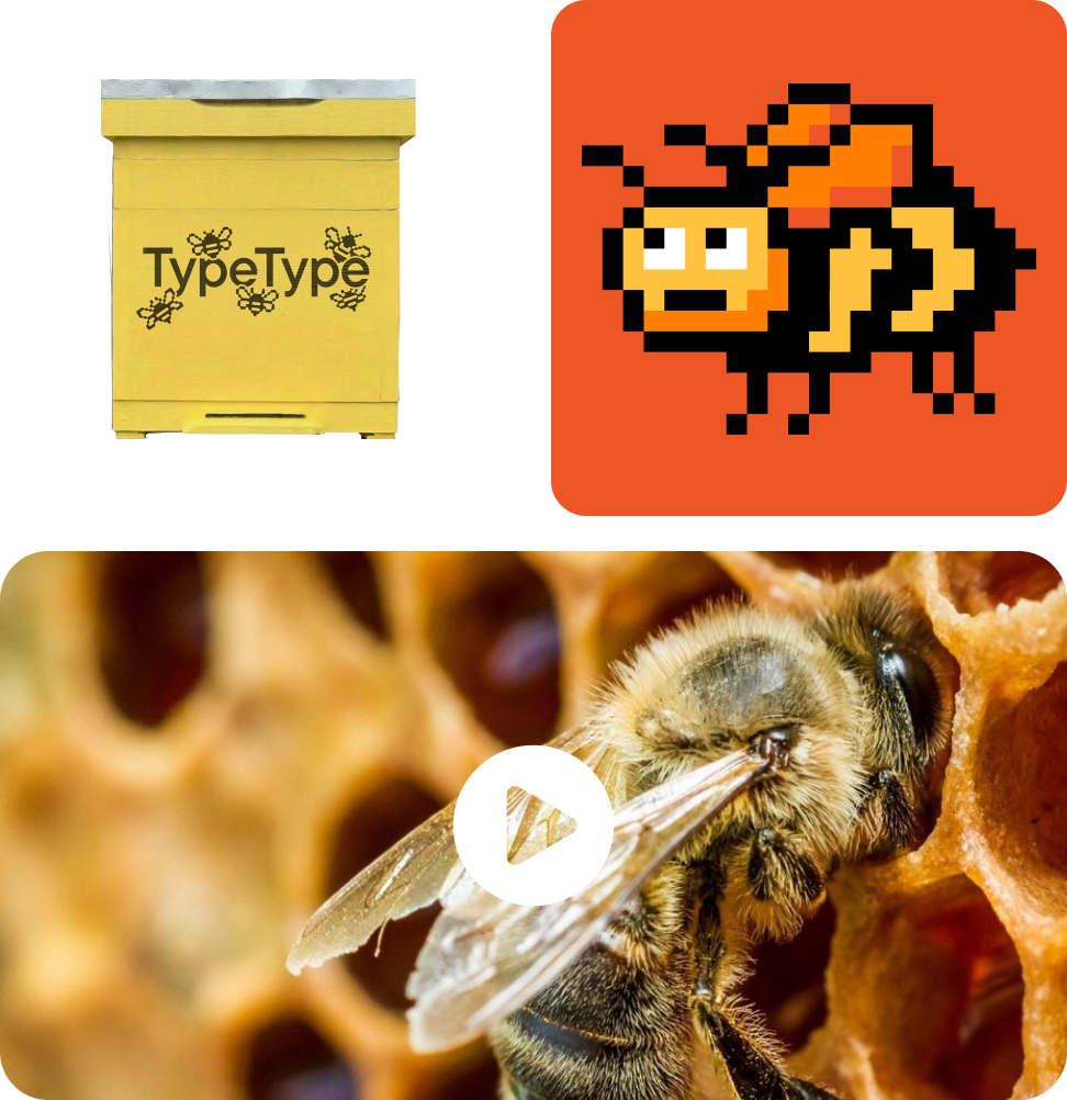 Bees at TypeType: See for yourself!