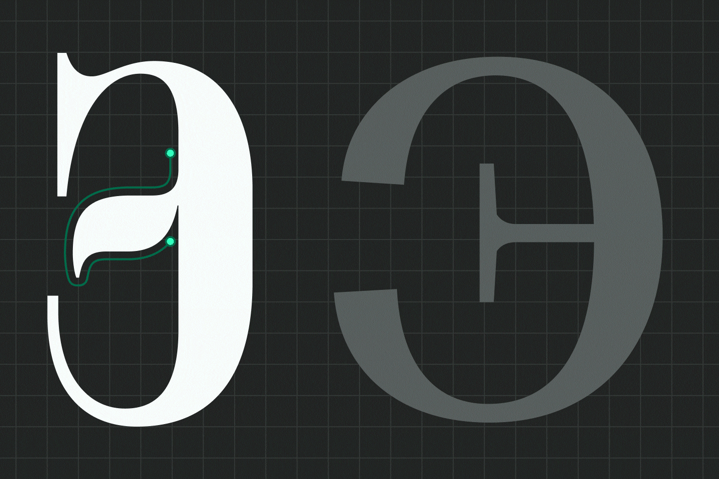 Selecting Fonts for Customization