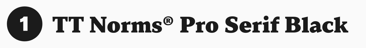 TT&nbsp;Norms&reg; Pro Serif Black