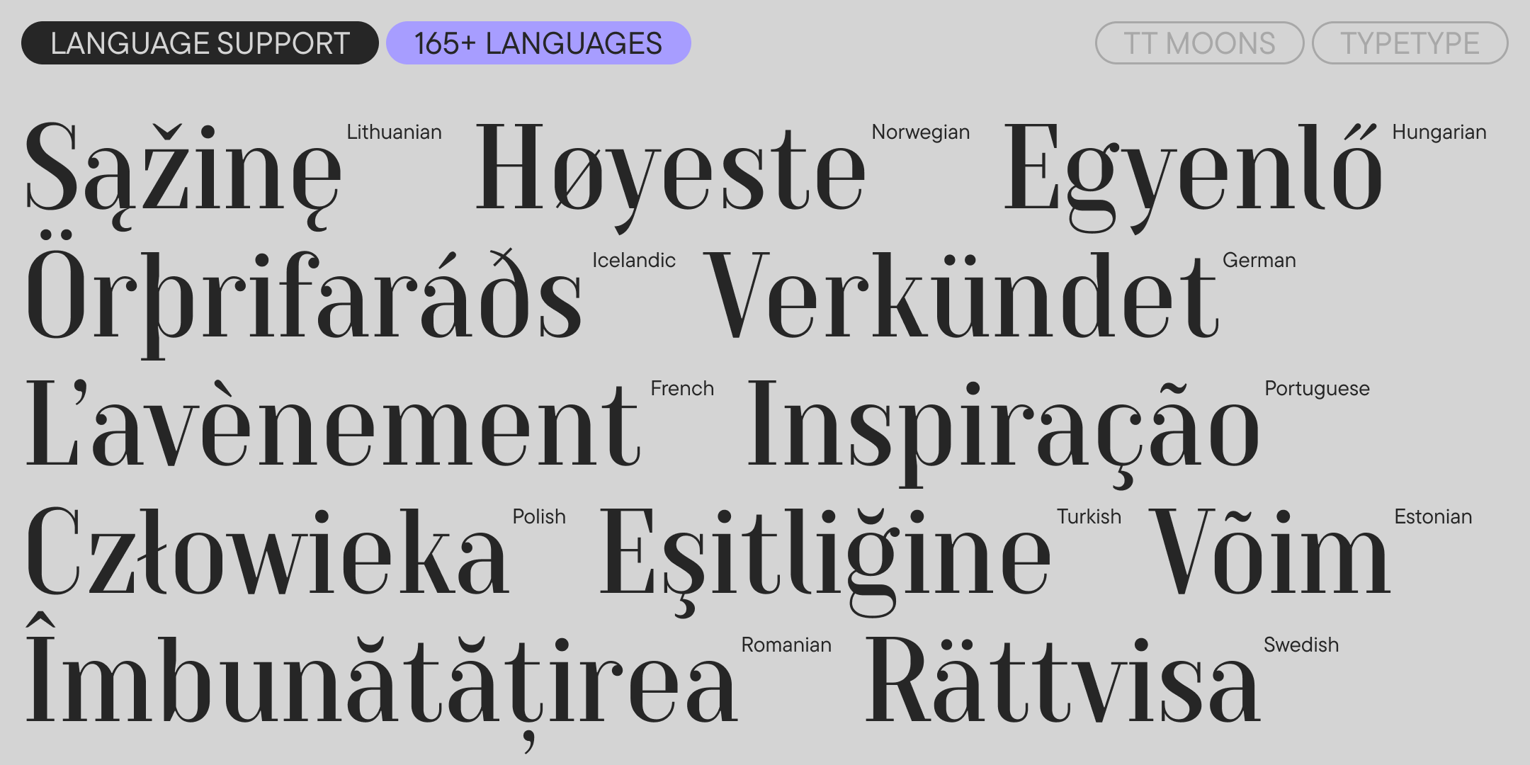 Kalligraphische Beispiele f&uuml;r Retalics&nbsp;