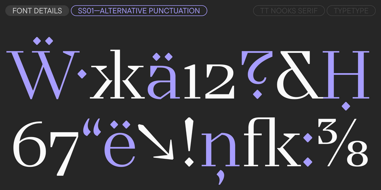 TT Nooks Serif