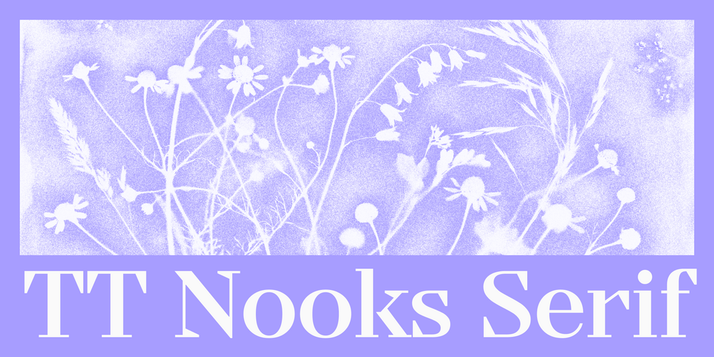 TT Nooks Serif