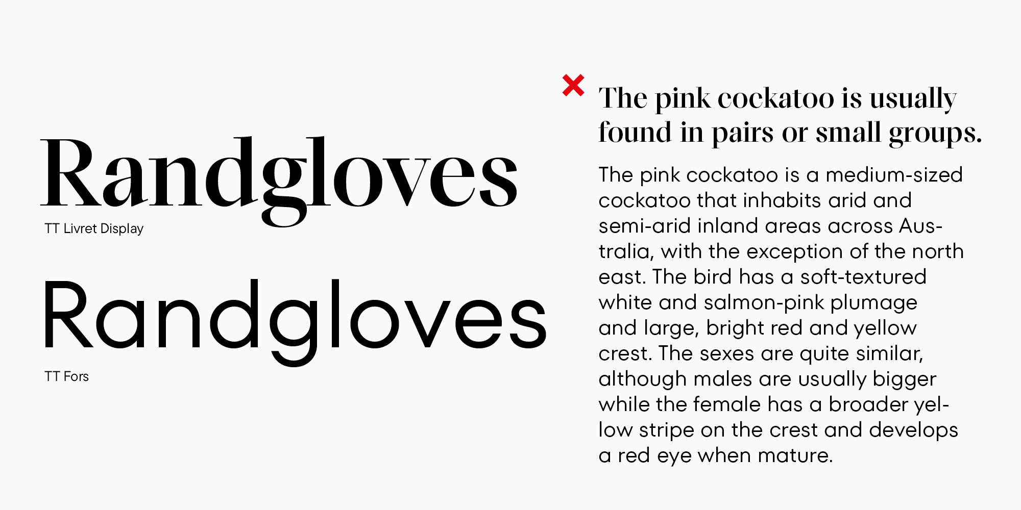 Choosing and Mixing Typefaces